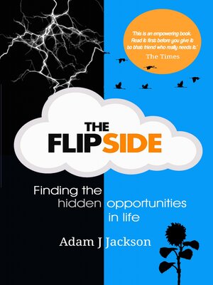 cover image of The Flipside